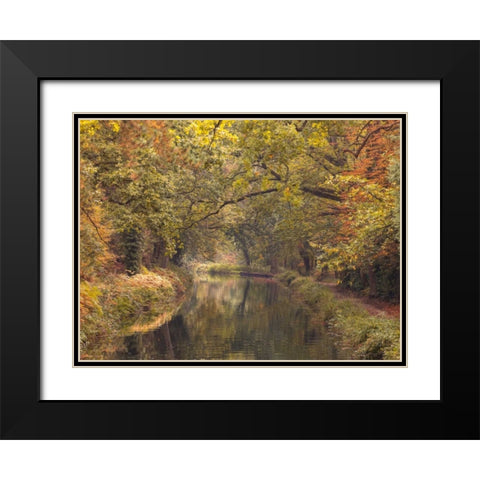 Basingstoke canal in countryside, UK, FTBR-1830 Black Modern Wood Framed Art Print with Double Matting by Frank, Assaf