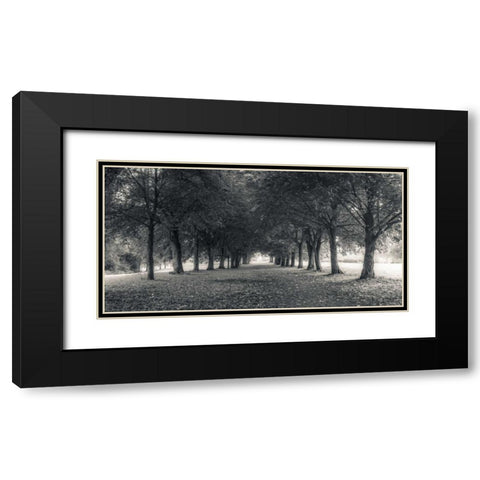 Pathway through trees in forest Black Modern Wood Framed Art Print with Double Matting by Frank, Assaf