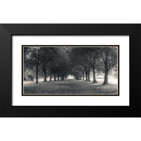 Pathway through trees in forest Black Modern Wood Framed Art Print with Double Matting by Frank, Assaf