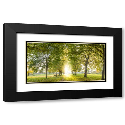 Panoramic view of a forest Black Modern Wood Framed Art Print with Double Matting by Frank, Assaf