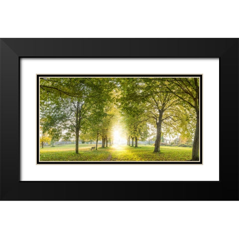Panoramic view of a forest Black Modern Wood Framed Art Print with Double Matting by Frank, Assaf