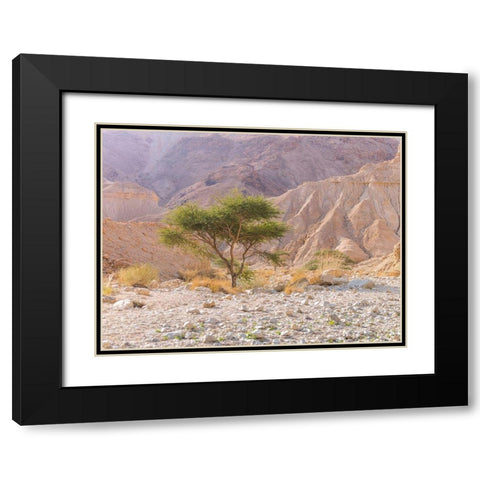 Negev Desert-Israel Black Modern Wood Framed Art Print with Double Matting by Frank, Assaf