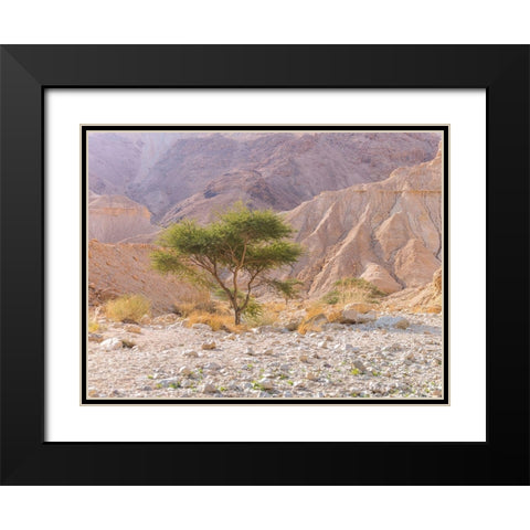 Negev Desert-Israel Black Modern Wood Framed Art Print with Double Matting by Frank, Assaf