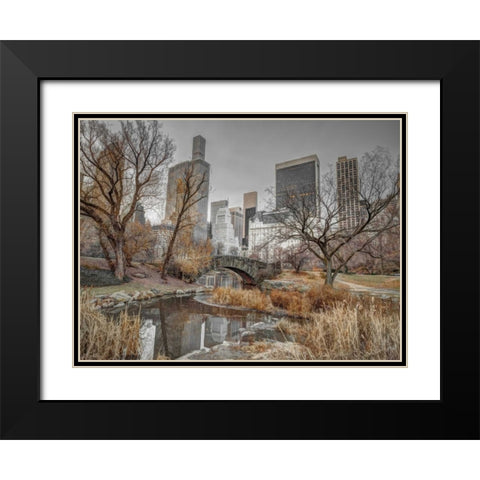 Central park and Manhattan skyline, New York Black Modern Wood Framed Art Print with Double Matting by Frank, Assaf