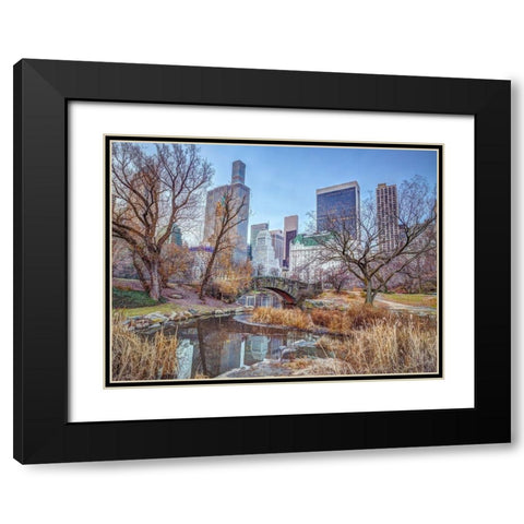 Central park with Manhattan skyline-New York Black Modern Wood Framed Art Print with Double Matting by Frank, Assaf