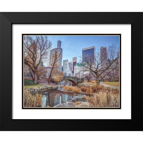 Central park with Manhattan skyline-New York Black Modern Wood Framed Art Print with Double Matting by Frank, Assaf