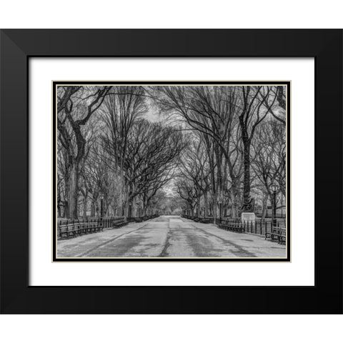 Pathway through Central park, New York Black Modern Wood Framed Art Print with Double Matting by Frank, Assaf