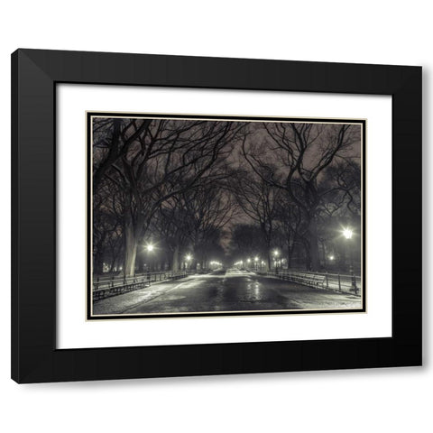 Central park with Manhattan skyline, New York Black Modern Wood Framed Art Print with Double Matting by Frank, Assaf