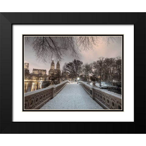 Central park with Manhattan skyline, New York Black Modern Wood Framed Art Print with Double Matting by Frank, Assaf