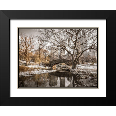 Central park in New York Black Modern Wood Framed Art Print with Double Matting by Frank, Assaf