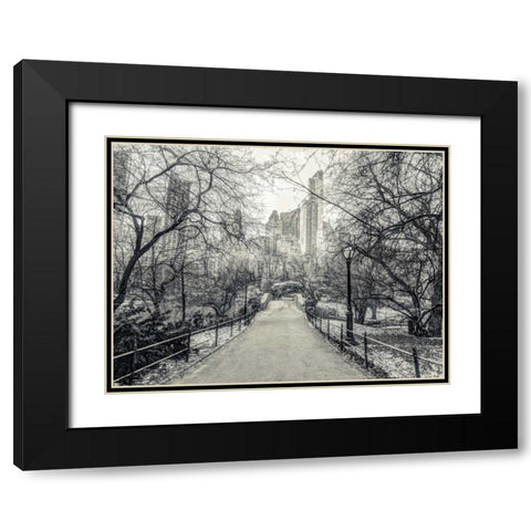 Pathway through Central park, New York Black Modern Wood Framed Art Print with Double Matting by Frank, Assaf