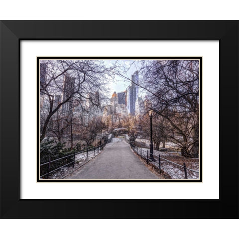 Pathway through Central park, New York Black Modern Wood Framed Art Print with Double Matting by Frank, Assaf