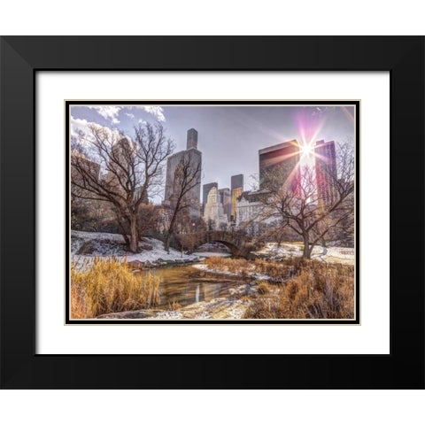 Central park with Lower Manhattan skyline, New York Black Modern Wood Framed Art Print with Double Matting by Frank, Assaf