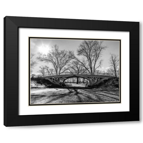 Walkway bridge in Central park, New York, FTBR-1920 Black Modern Wood Framed Art Print with Double Matting by Frank, Assaf