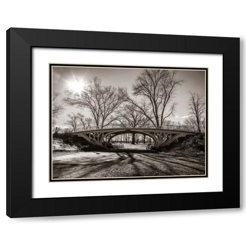 Walkway bridge in Central park, New York, FTBR-1921 Black Modern Wood Framed Art Print with Double Matting by Frank, Assaf