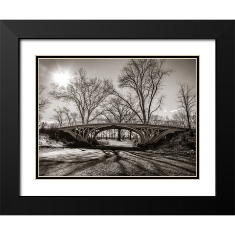 Walkway bridge in Central park, New York, FTBR-1921 Black Modern Wood Framed Art Print with Double Matting by Frank, Assaf