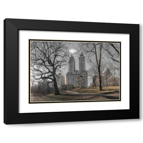 Lower Manhattan cityscape from Central park, New York Black Modern Wood Framed Art Print with Double Matting by Frank, Assaf
