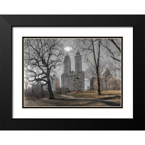 Lower Manhattan cityscape from Central park, New York Black Modern Wood Framed Art Print with Double Matting by Frank, Assaf