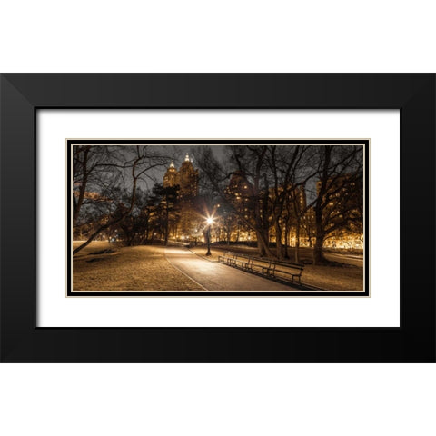 Central park in evening, New York Black Modern Wood Framed Art Print with Double Matting by Frank, Assaf