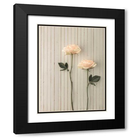 Roses in a row on table Black Modern Wood Framed Art Print with Double Matting by Frank, Assaf