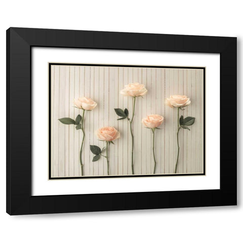 Roses in a row on table Black Modern Wood Framed Art Print with Double Matting by Frank, Assaf