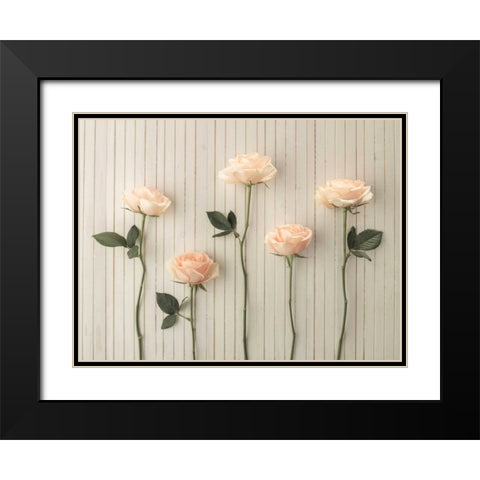 Roses in a row on table Black Modern Wood Framed Art Print with Double Matting by Frank, Assaf