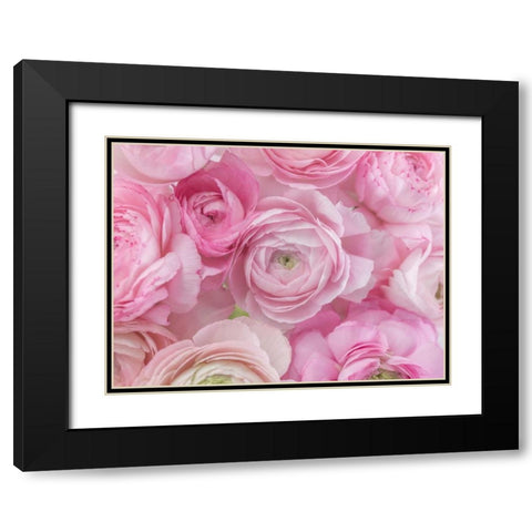Bunch of Ranuncuclus Black Modern Wood Framed Art Print with Double Matting by Frank, Assaf
