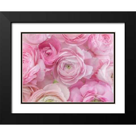 Bunch of Ranuncuclus Black Modern Wood Framed Art Print with Double Matting by Frank, Assaf
