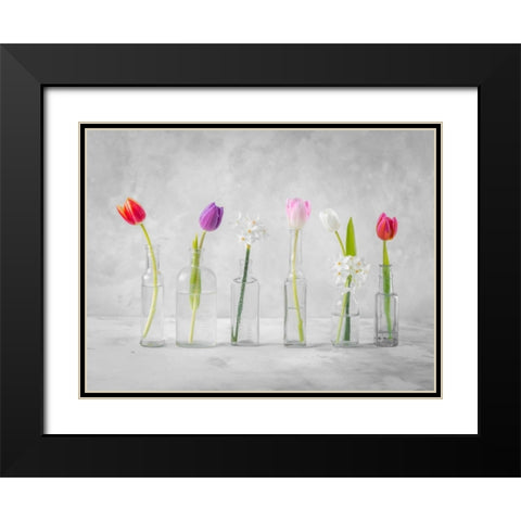 Ranuncuclus flowers in glass bottles Black Modern Wood Framed Art Print with Double Matting by Frank, Assaf
