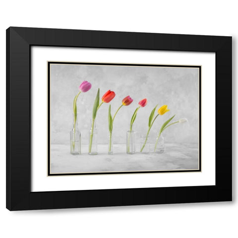 Ranuncuclus flowers in glass bottles Black Modern Wood Framed Art Print with Double Matting by Frank, Assaf