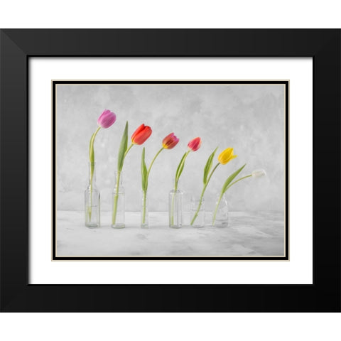 Ranuncuclus flowers in glass bottles Black Modern Wood Framed Art Print with Double Matting by Frank, Assaf