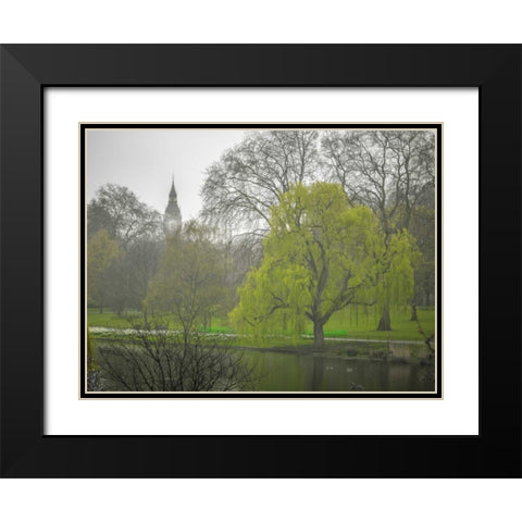 St James Park, London Black Modern Wood Framed Art Print with Double Matting by Frank, Assaf