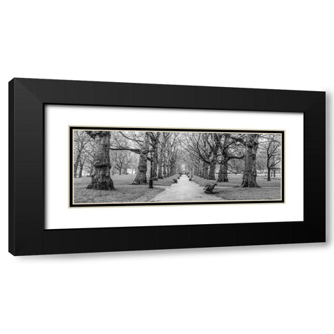 Avenue of trees, Green Park, London, FTBR-1839 Black Modern Wood Framed Art Print with Double Matting by Frank, Assaf
