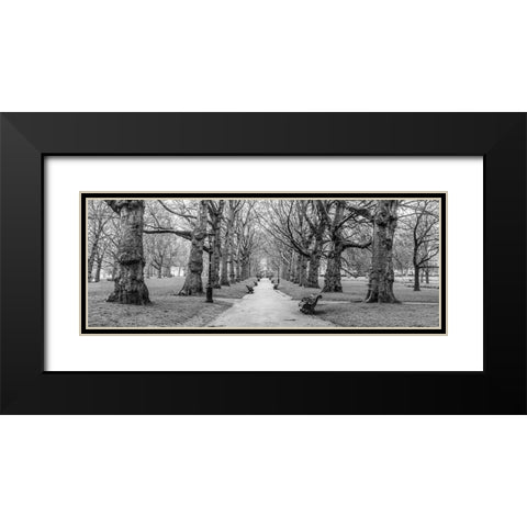 Avenue of trees, Green Park, London, FTBR-1839 Black Modern Wood Framed Art Print with Double Matting by Frank, Assaf