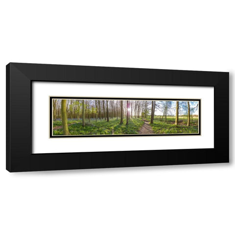 Spring forest with tall trees Black Modern Wood Framed Art Print with Double Matting by Frank, Assaf