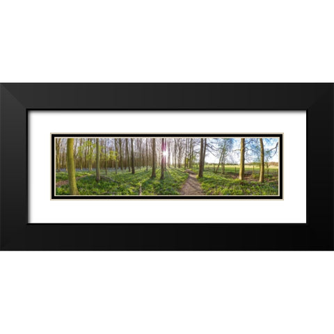 Spring forest with tall trees Black Modern Wood Framed Art Print with Double Matting by Frank, Assaf