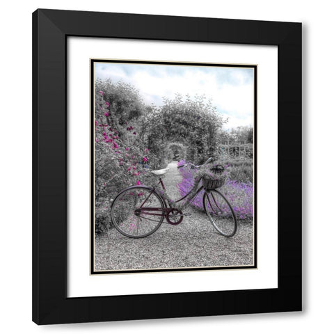 Bicycle on a garden path Black Modern Wood Framed Art Print with Double Matting by Frank, Assaf