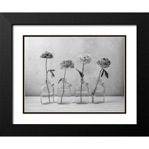 Peonies in glass bottles Black Modern Wood Framed Art Print with Double Matting by Frank, Assaf