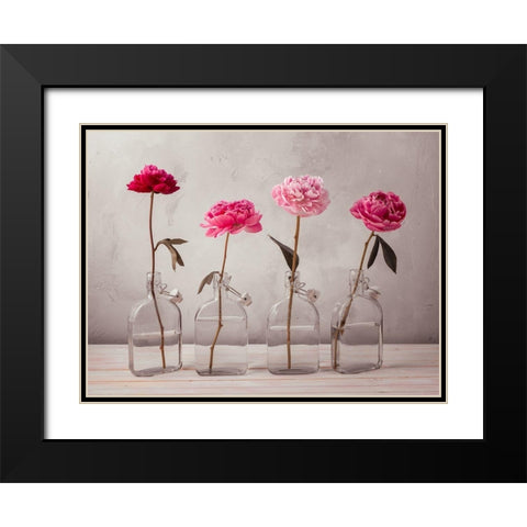 Peonies in glass bottles Black Modern Wood Framed Art Print with Double Matting by Frank, Assaf
