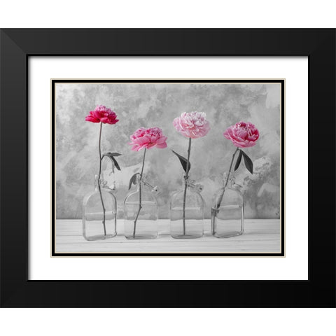 Peonies in glass bottles Black Modern Wood Framed Art Print with Double Matting by Frank, Assaf
