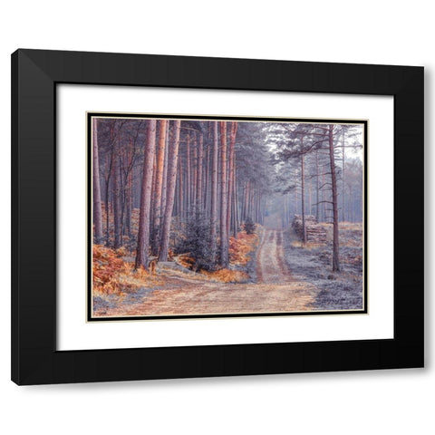 Road through Autumn forest Black Modern Wood Framed Art Print with Double Matting by Frank, Assaf
