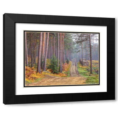 Road through Autumn forest Black Modern Wood Framed Art Print with Double Matting by Frank, Assaf