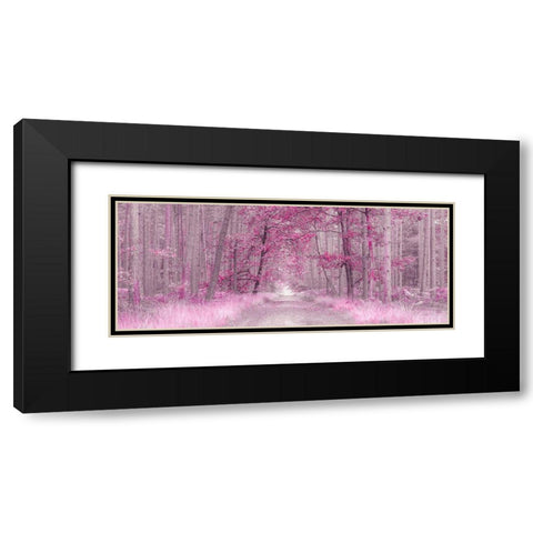 Pathway through Autumn forest, FTBR 1843 Black Modern Wood Framed Art Print with Double Matting by Frank, Assaf
