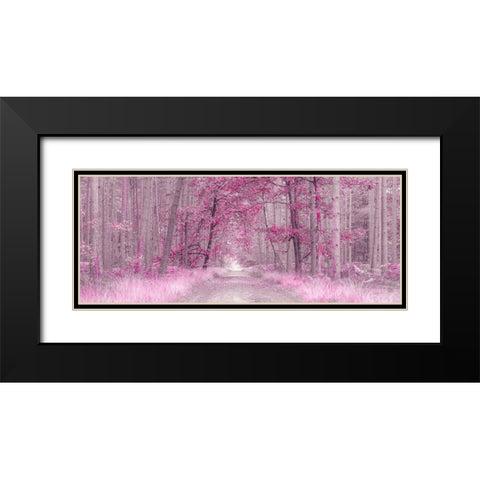 Pathway through Autumn forest, FTBR 1843 Black Modern Wood Framed Art Print with Double Matting by Frank, Assaf