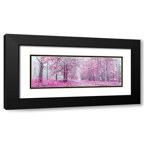 Pathway through Autumn forest Black Modern Wood Framed Art Print with Double Matting by Frank, Assaf