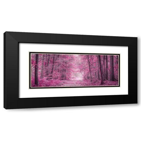 Pathway through Autumn forest Black Modern Wood Framed Art Print with Double Matting by Frank, Assaf