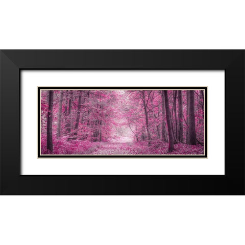 Pathway through Autumn forest Black Modern Wood Framed Art Print with Double Matting by Frank, Assaf