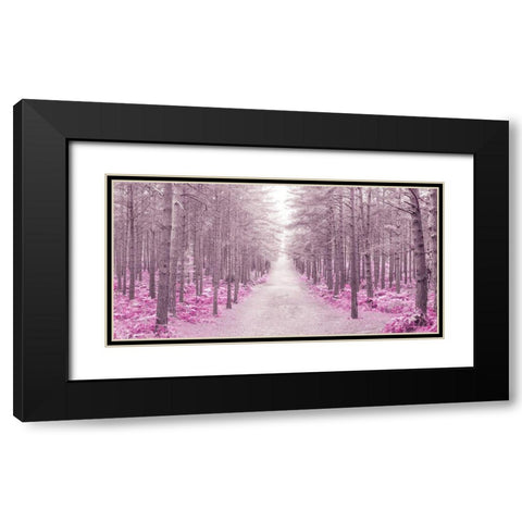 Pathway through Autumn forest, FTBR 1844 Black Modern Wood Framed Art Print with Double Matting by Frank, Assaf