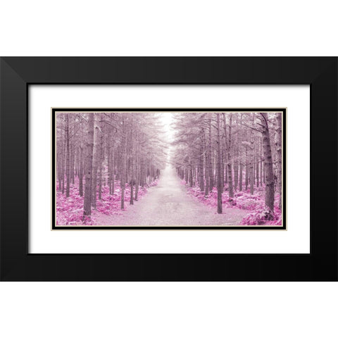 Pathway through Autumn forest, FTBR 1844 Black Modern Wood Framed Art Print with Double Matting by Frank, Assaf