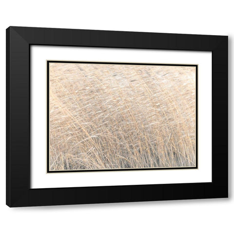 Brown reeds growing in water Black Modern Wood Framed Art Print with Double Matting by Frank, Assaf
